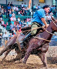 Nuestros Caballos en La Rural: fechas, horarios y entradas para la expo equina de Palermo
