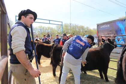 La muestra sigue hasta el próximo viernes