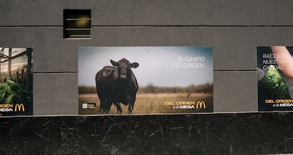 La muestra va a exhibirse en los locales de McDonald's de Pinamar (Av. Bunge) y Mar del Plata (Playa Grande, Av. Peralta Ramos) durante todo el verano para quienes quieran conocerla.