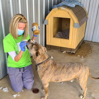 La mujer decidió que se mudaría al refugio de mascotas con Drools para visibilizar su caso (Facebook)