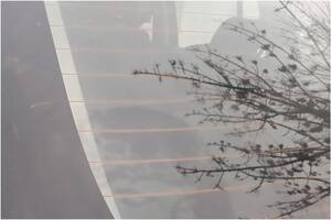 La mujer dice que Jesús se le apareció en la luneta de su auto (Foto: Facebook.com/belenflorencia.sbarbati)