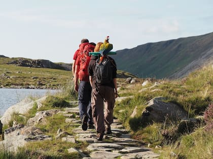 La mujer finalmente recuperó al loro