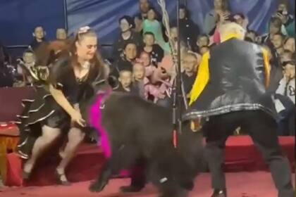 La mujer que fue atacada no debió recibir ayuda médica