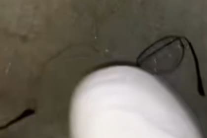 La mujer rompió los anteojos de la clienta y esta acción recibió diversas críticas