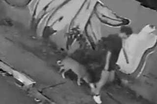 Paseaba a su perro, cayó adentro de una alcantarilla y sufrió graves lesiones