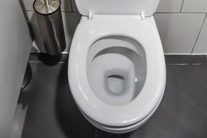 La mujer se llevó un gran susto al ver al inquilino indeseado en su inodoro