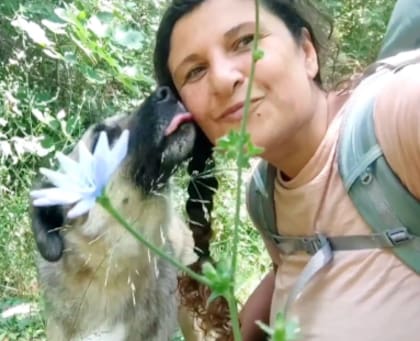 La mujer y el perro sintieron una conexión de inmediato (Captura: The Dodo)