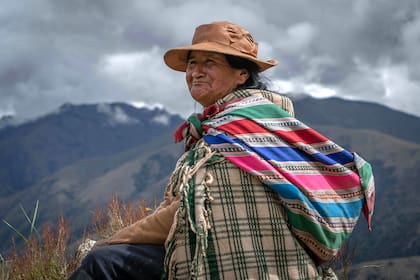 La muña (Minthostachys mollis) es una planta nativa de los Andes, valorada en la cocina tradicional andina