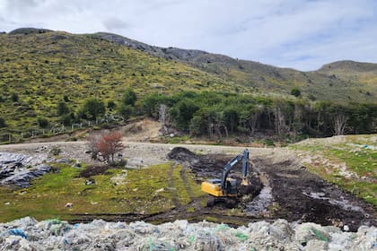 La Municipalidad de Ushuaia aclara que el espacio cuenta con controles permanentes y condiciones que minimizan la presencia de roedores