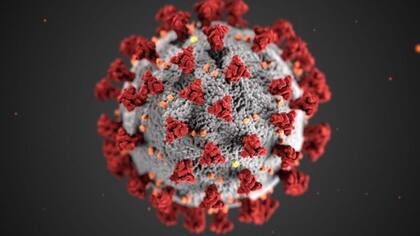 La mutación se produjo en la proteína espiga del coronavirus, objetivo científico para el desarrollo de vacunas y tratamientos.