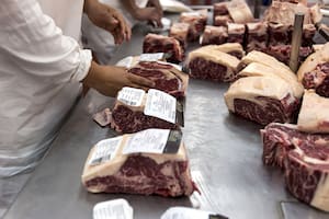 Cuánto cobran los trabajadores de la industria de la carne en marzo