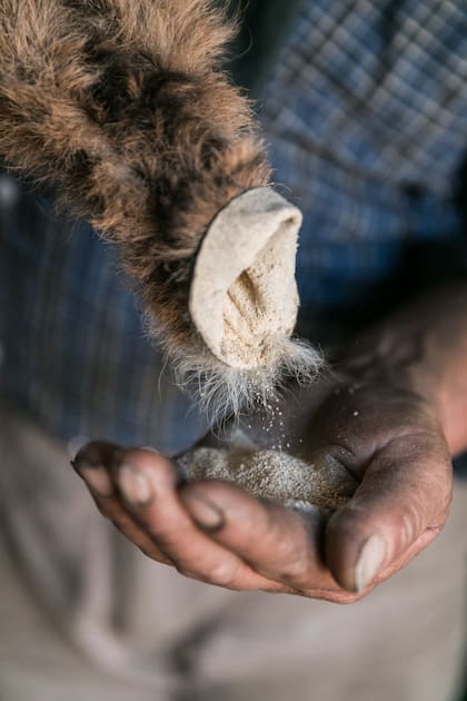 La ñaquera es donde se guarda el ñaco: trigo tostado y molido.