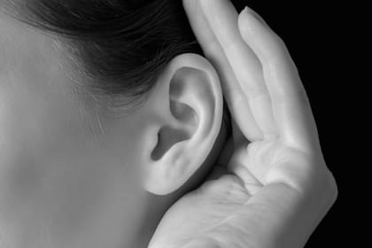 La nariz y las orejas son las únicas partes del cuerpo que siguen creciendo, en gran parte, por el cartílago, un tejido flexible que, con el tiempo, sufre degradación y pierde elasticidad