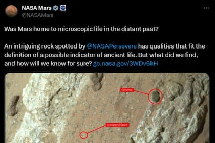 La NASA descubrió materia orgánica, manchas de leopardo y cristales milimétricos de olivino en la Cheyava Falls