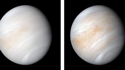 La NASA publicó en 2020 estas imágenes de Venus envuelta en nubes, obtenidas al procesar con nuevos softwares datos de la misión Mariner 10 de 1974