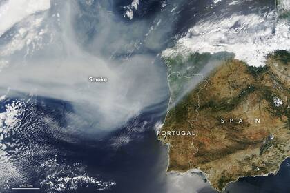 La NASA publicó imágenes satelitales que muestran que el humo de los incendios llegó hasta Europa