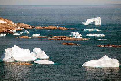"El nivel del mar podría aumentar probablemente en varios metros en los próximos 100 años, es una amenaza enorme para cientos de millones de personas en el mundo", alerta Joshua Willis.