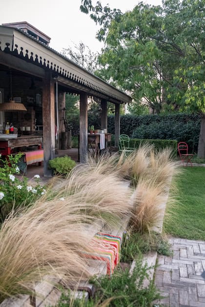 La Nassella tenuissima florece a finales de primavera, con unas espigas verde lima preciosas y, tras esas espigas, se llena de semillas y empieza a tomar su aspecto dorado o pajizo.