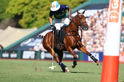 La Natividad-La Dolfina va por otra victoria en el Campeonato Argentino Abierto de polo, en Palermo.