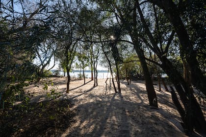 La naturaleza como espacio de reflexión: un recordatorio de que la soledad puede ser una aliada en el autoconocimiento