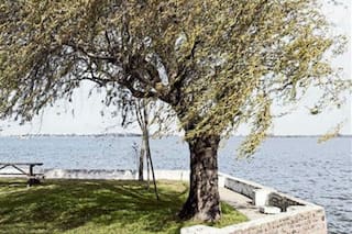 El campo, en la ecología poética de Baldomero Fernández Moreno