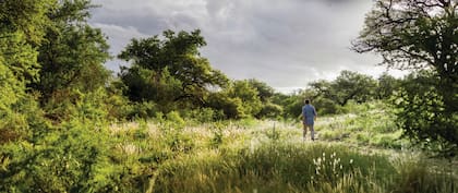 "La naturaleza nunca miente, pero además es bella”, afirma Ricardo Paz, anticuario y ambientalista.