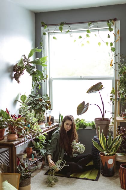 La naturaleza sana y conecta con lo más puro y natural.