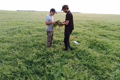 La necesidad de contrarrestar la erosión hídrica y eólica es otro de los motivos de la adopción en regiones semiáridas