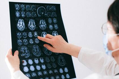 La neurociencia brindó otras razones del dolor muscular