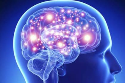 La neurociencia nos da permiso para darnos un descanso cuando nos encontramos verdaderamente atascados, y es el descanso el que nos ayuda a obtener la solución