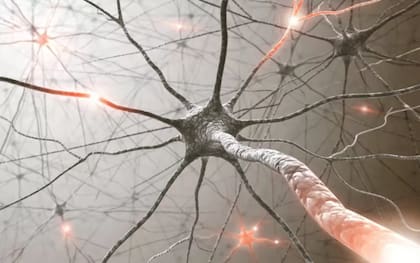 La neurocientífica Asya Rolls quiere saber cómo los procesos mentales pueden afectar las respuestas inmunes