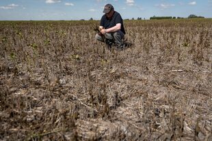 La Niña se llevó más de 50 millones de toneladas de granos