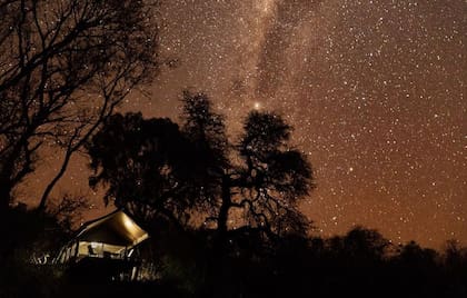 La noche estrellada en el Impenetrable