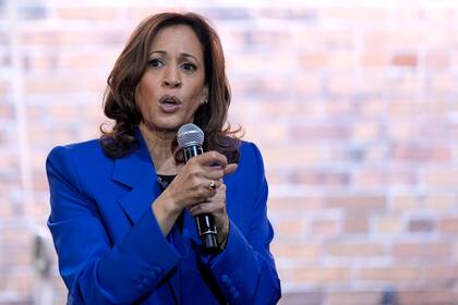 La nominada presidencial demócrata y vicepresidenta Kamala Harris habla en un evento de campaña, el 18 de agosto de 2024, en Rochester, Pensilvania. (AP/Julia Nikhinson)
