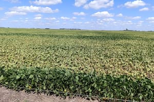 Ministros de la Región Centro piden actualizar el Fondo de Emergencia Agropecuaria