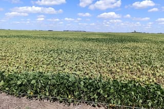 Ministros de la Región Centro piden actualizar el Fondo de Emergencia Agropecuaria