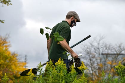 La normativa también incluye al personal de jardinería que se desempeña en California
