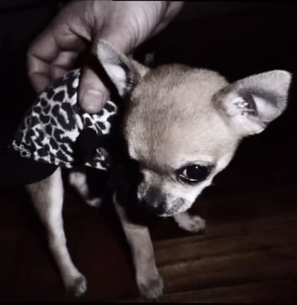 La noticia de la muerte de Blanca llegó en el peor momento de la modelo