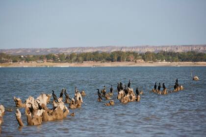 La notoria baja del agua en el dique El Carrizal