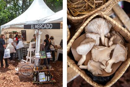 La novedad de la feria: el espacio de almacén, con marcas que ofrecen sus productos agroecológicos, irresistibles para cocineros con conciencia, que gustan de dar ese toque único a sus platos.