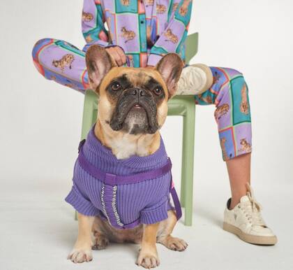 La novedad más tierna de Cipitria: la pet collection.