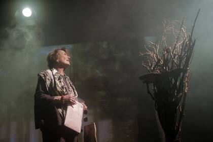 La novela Matate, Amor fue llevada al teatro en una obra que contó con la dirección de Marilú Marini (foto) y la actuación de Érica Rivas. Ellas, más la propia Ariana Harwicz se encargaron de la adaptación