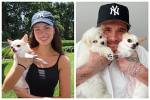 La nuera de David Beckham demandará a una peluquería de perros por la muerte de su chihuahua