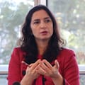 Brasil llamó a profundizar la alianza comercial con la Argentina