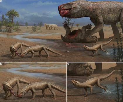 La nueva especie encontrada vivió en una época de innovación evolutiva tras la peor extinción masiva de la Tierra hace 252 millones de años, con múltiples grupos de reptiles compitiendo antes de que los dinosaurios terminaran por dominar