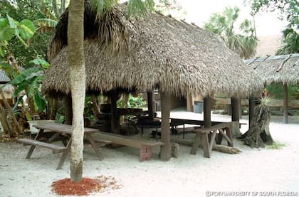 La nueva legislación de Florida protege el derecho de los miembros de las tribus Miccosukee y Seminola a construir "chickees"
