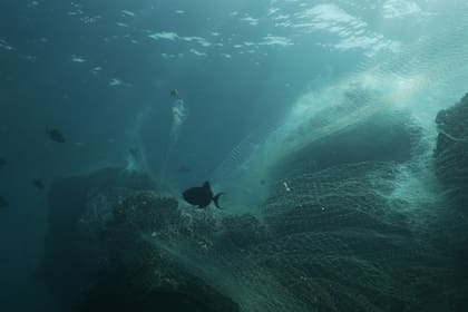 La nueva línea de smartphones de Samsung utilizará partes plásticas con material reutilizado de redes de pesca abandonadas en el mar