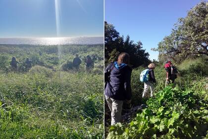 La nueva normativa prohíbe expresamente las actividades comerciales masivas, la instalación de pantallas o sistemas de sonido.