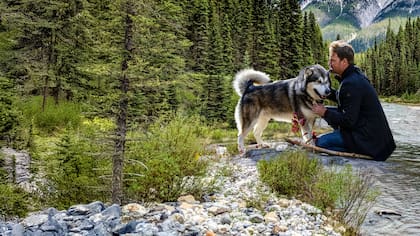 La nueva película de Netflix cuenta la atrapante historia de un dueño y su perro que se pierden en un enorme bosque