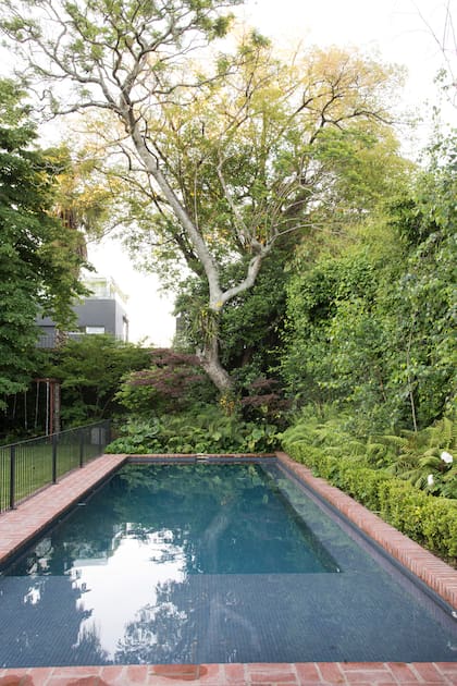 La nueva pileta rectangular reemplazó la anterior. Los cercos de buxus se repiten en el resto del jardín